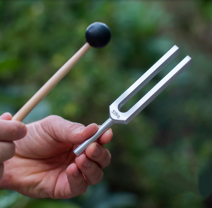 Scodella di selenite