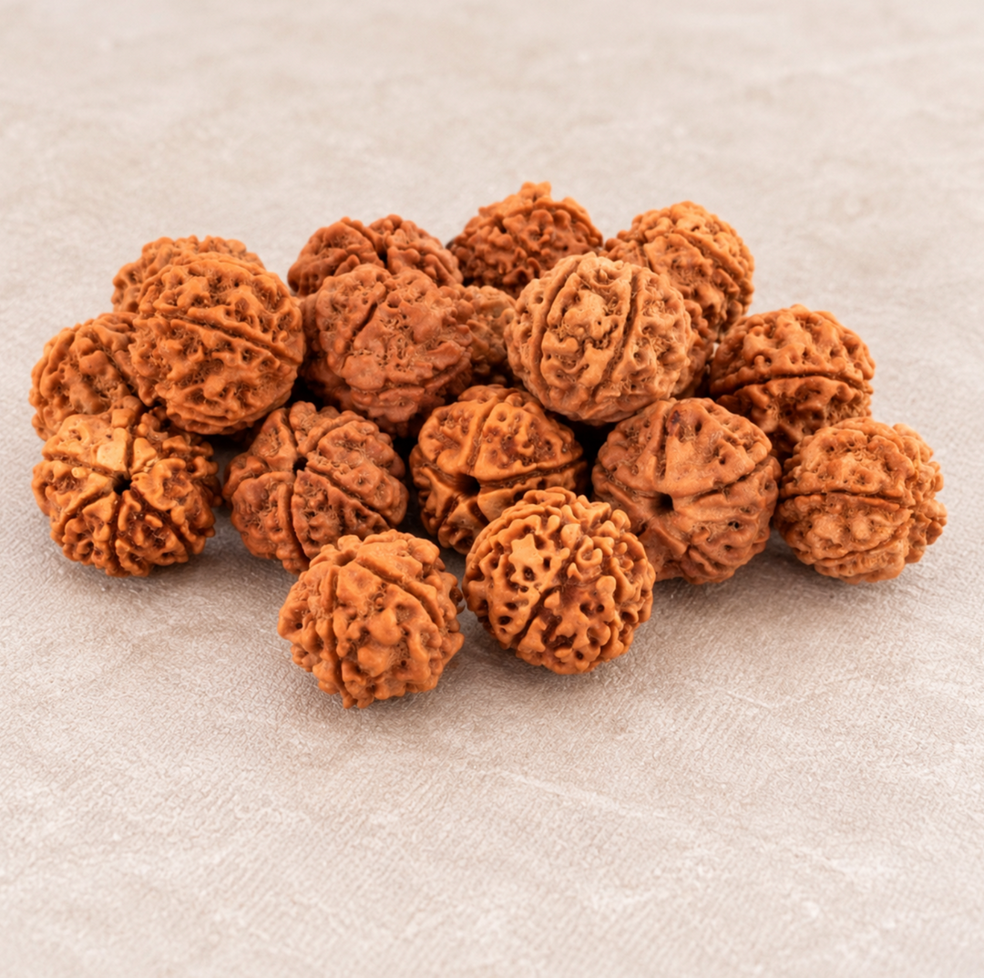 Braccialetto Himalayan Rudraksha Shine